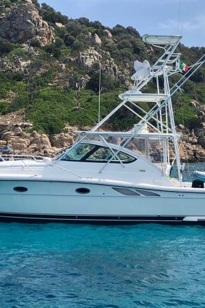 Barca da pesca usata in vendita in Sardegna: Tiara 3800 Open
